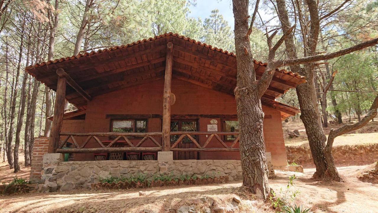 Cabanas Tapalpa Sierra Del Tecuan, Cabana Lince Exterior photo